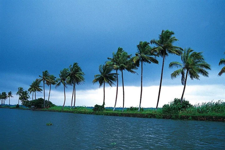 Кумараком: Green Fields Kumarakom