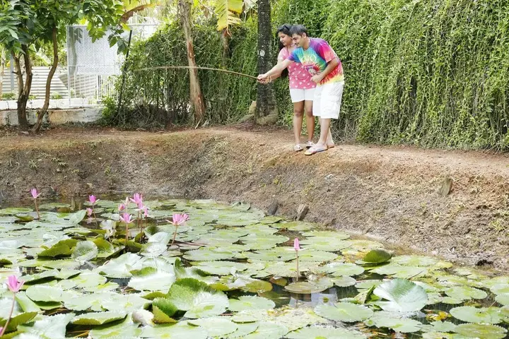 Кумараком: Green Fields Kumarakom