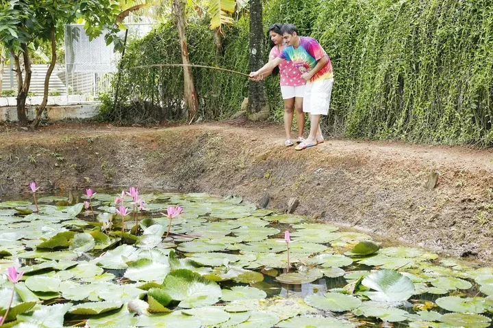 Кумараком: Green Fields Kumarakom