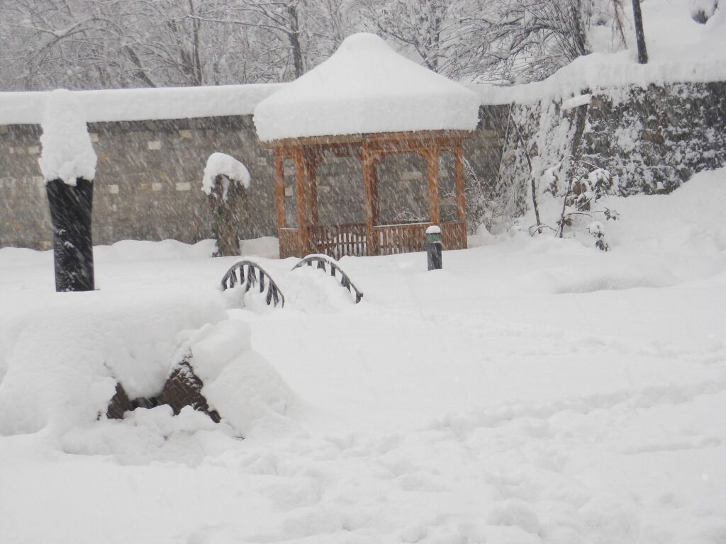Манали: Rock Manali (A Unit of Vivaan Hospitality and Recreations)