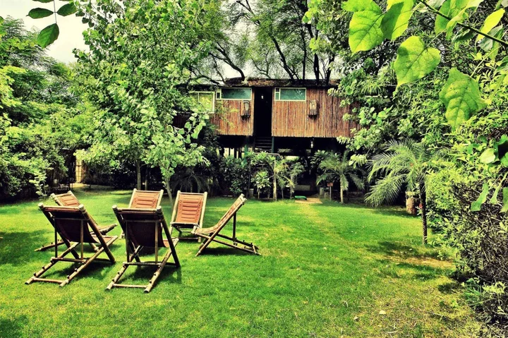 Ачрол: The Tree House Resort