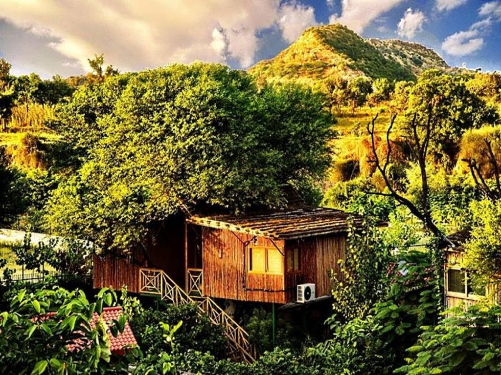 Ачрол: The Tree House Resort
