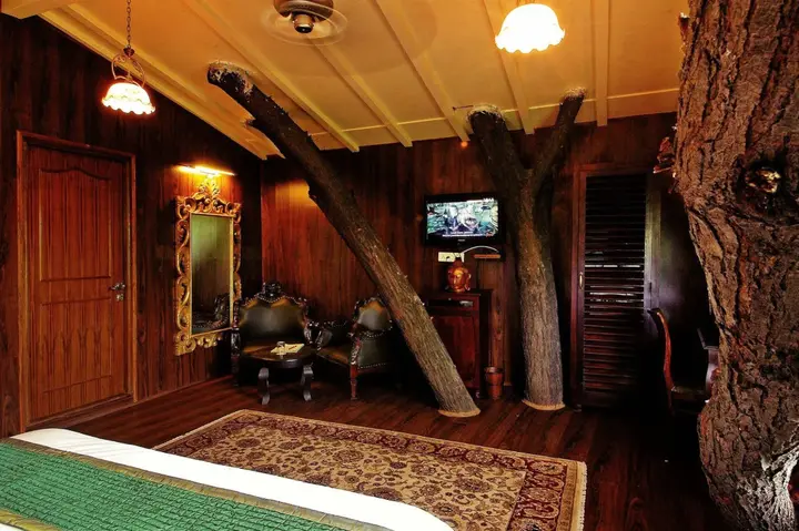 Ачрол: The Tree House Resort