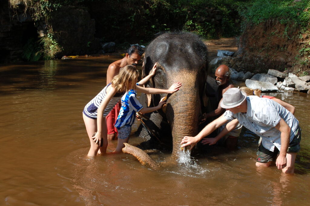 Cheppad: Mannaas Veedu Retreat & Spa