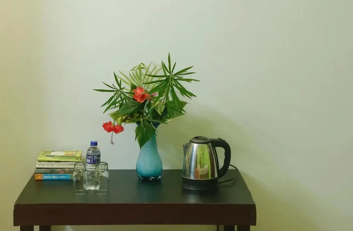 Варкала: Varkala Villas Haven Beach resort