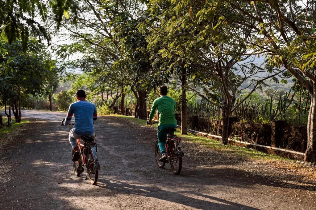Даполи: The Fern Samali Resort Dapoli, Series by Marriott