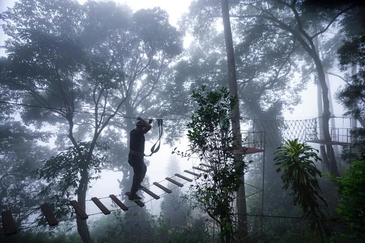 Муннар: Tea Valley Resort