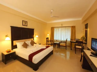 Атирапалли: Hotel Airlink Castle