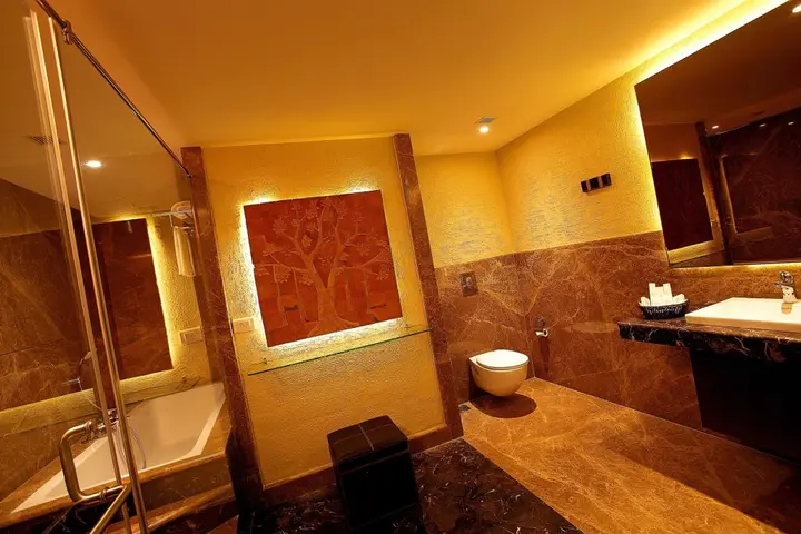 Недумбассери: Flora Airport Hotel and Convention Centre Kochi