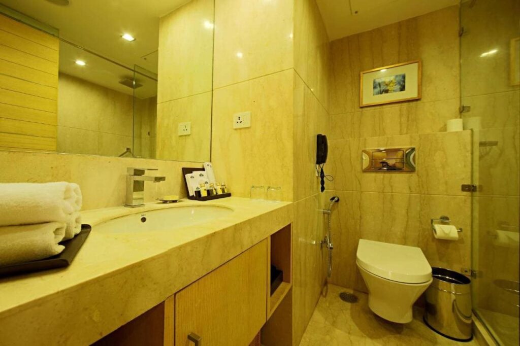 Нью-Дели: Zone Connect by The Park Saket New Delhi