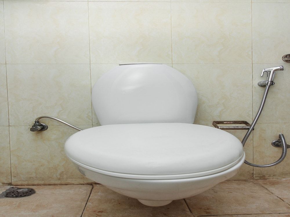 Джайпур: Hotel White Lily