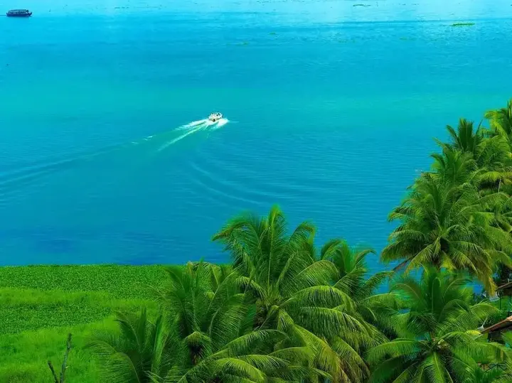 Кумараком: Backwater Ripples Kumarakom