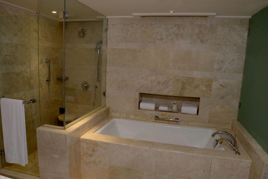 Удаипур: The Leela Palace Udaipur