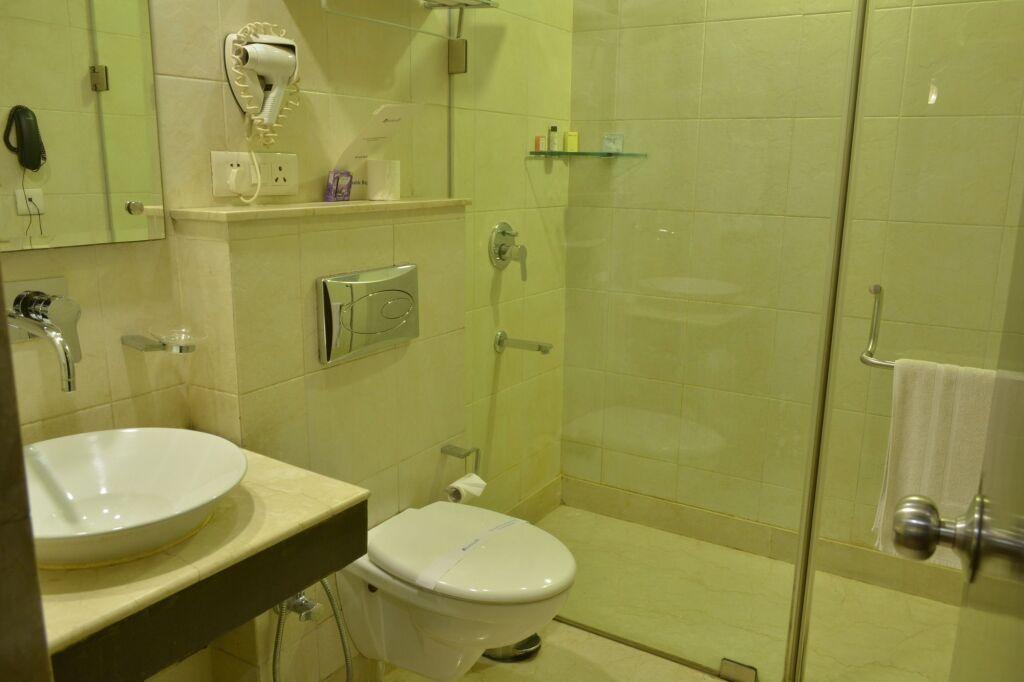Нью-Дели: Rockland Hotel - C R Park