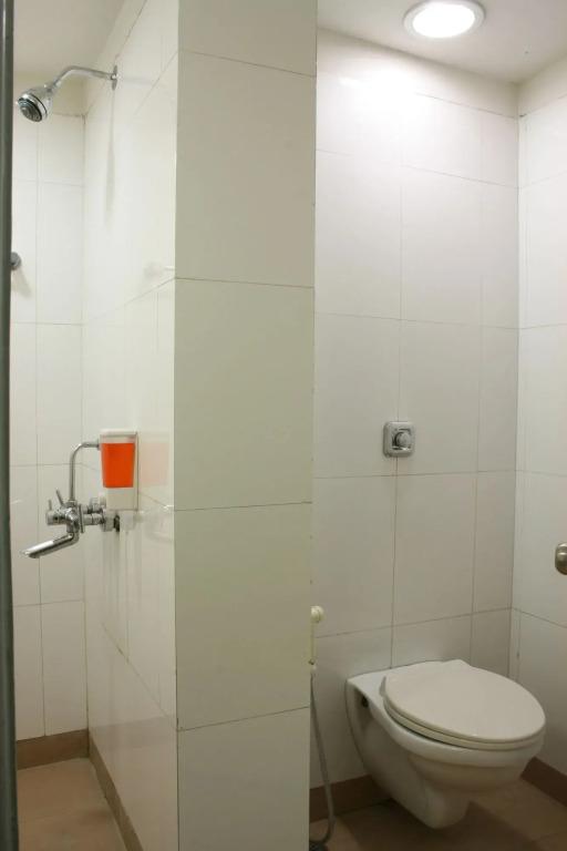 Пантнагар: Ginger Pantnagar