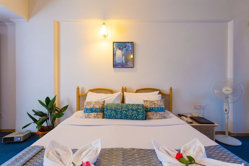 Куфри: Toshali Royal View Resort