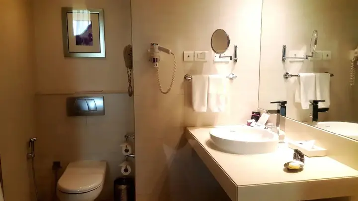 Пуна: Royal Orchid Central Pune