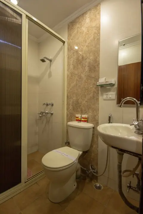 Нью-Дели: Hotel Aster Inn