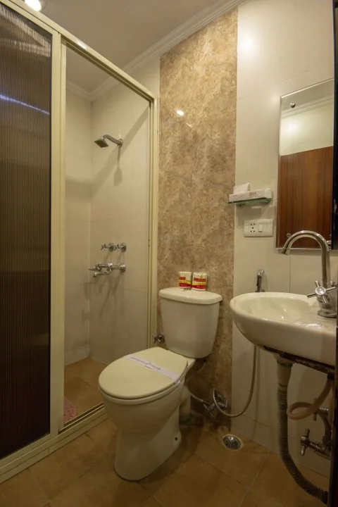 Нью-Дели: Hotel Aster Inn