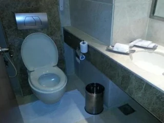 Пуна: Fortune Inn Jukaso Pune