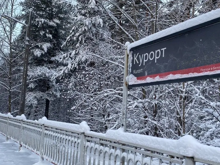 Сестрорецк: Апартаменты У Залива
