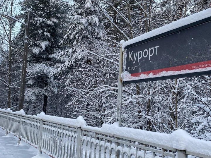 Сестрорецк: Апартаменты У Залива