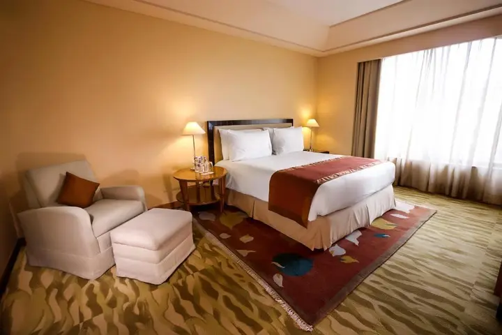 Нью-Дели: The Grand New Delhi