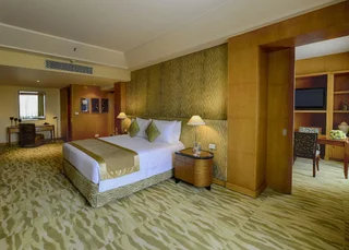 Нью-Дели: The Grand New Delhi