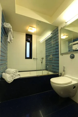 Мумбаи: Hotel Silver Inn