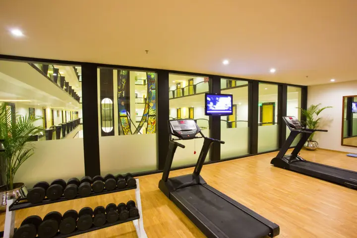 Индаур: Lemon Tree Hotel, Indore