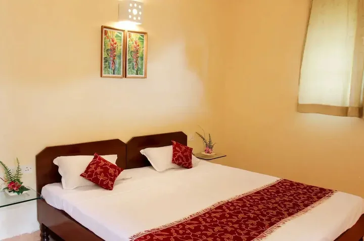 Бенаулим: San Joao Holiday Homes