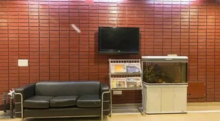 Гуруграм: Hotel Palm Tree Palam Vihar