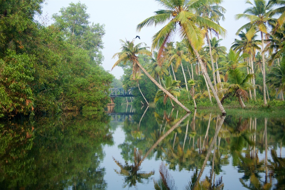 Пувар: Отель Poovar Island Resort