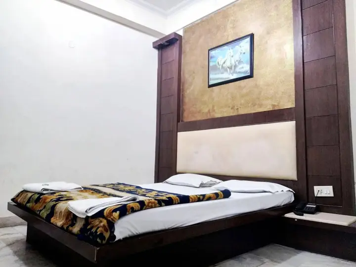 Нью-Дели: Hotel Maanvi