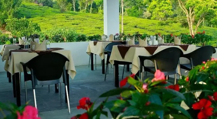 Муннар: Gruenberg Tea Plantation Haus