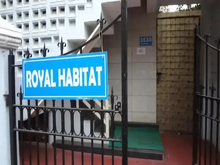 Compact - Royal Habitat — фото 4