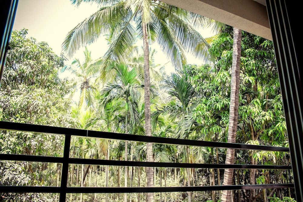 Hotel Sea View(A Beach Property) — фото 6