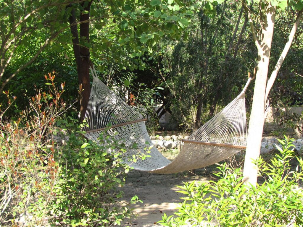 Наинитал: Jim's Jungle Retreat