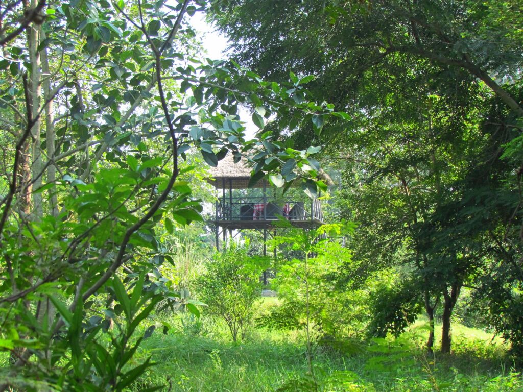 Наинитал: Jim's Jungle Retreat