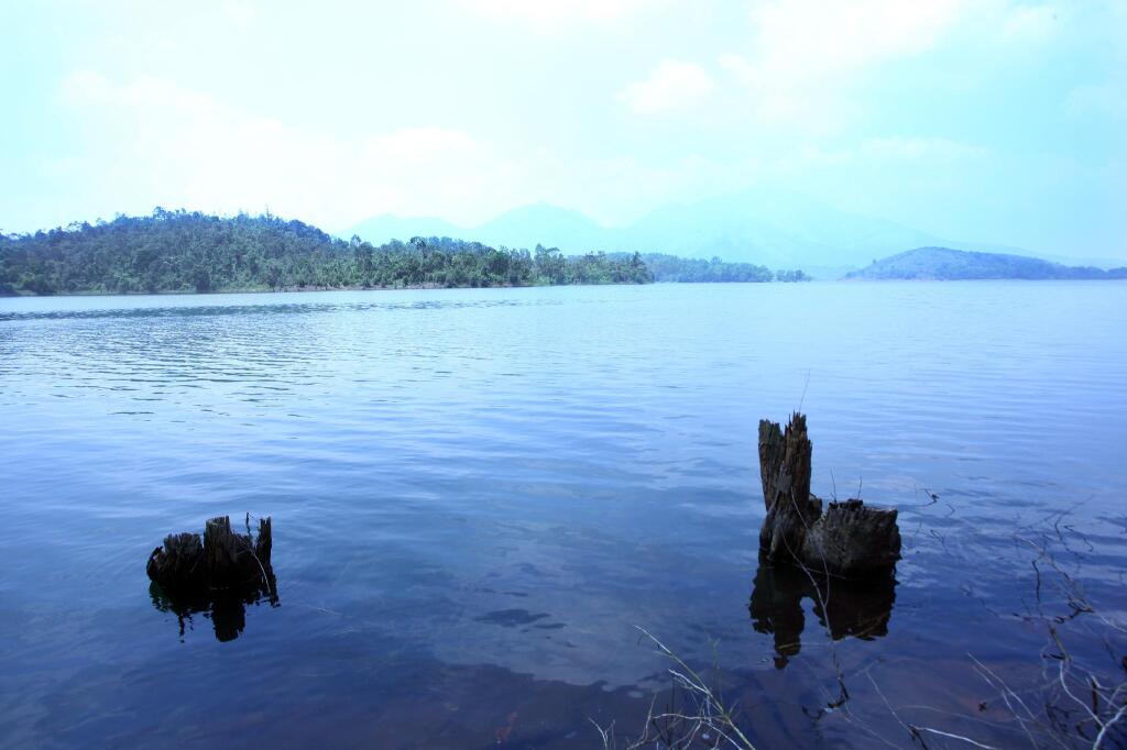 Велламундра: Petals Resorts Wayanad