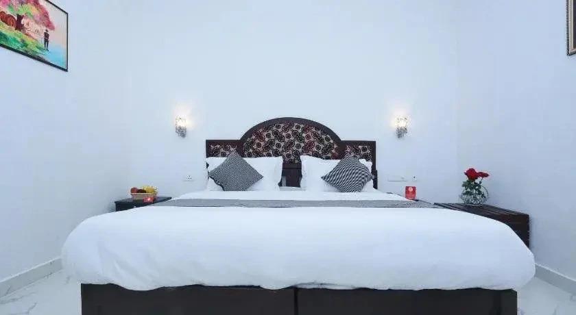 Кумили: Ninja Homestay