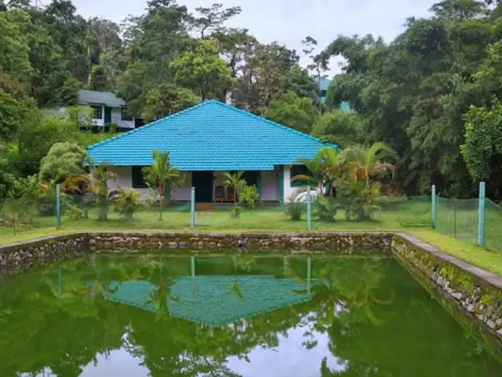 Велламундра: Orchard Holiday Resort