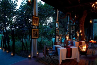 Тала: Samode Safari Lodge