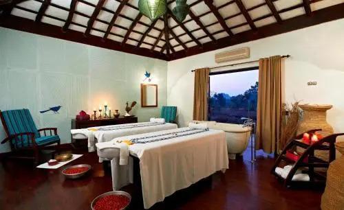 Тала: Samode Safari Lodge