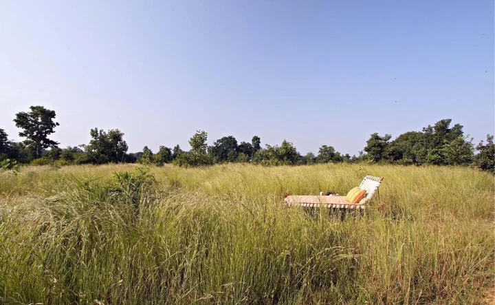 Тала: Samode Safari Lodge