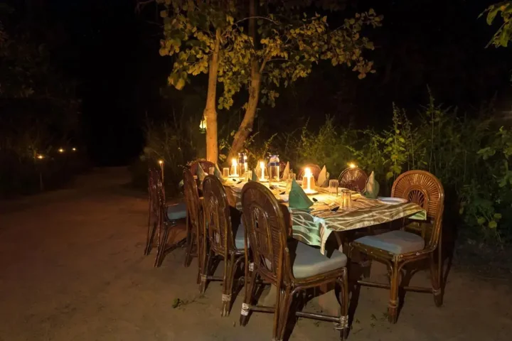 Турья: Pench Jungle Camp