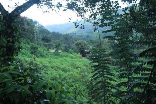 Муннар: Nakshathra Inn