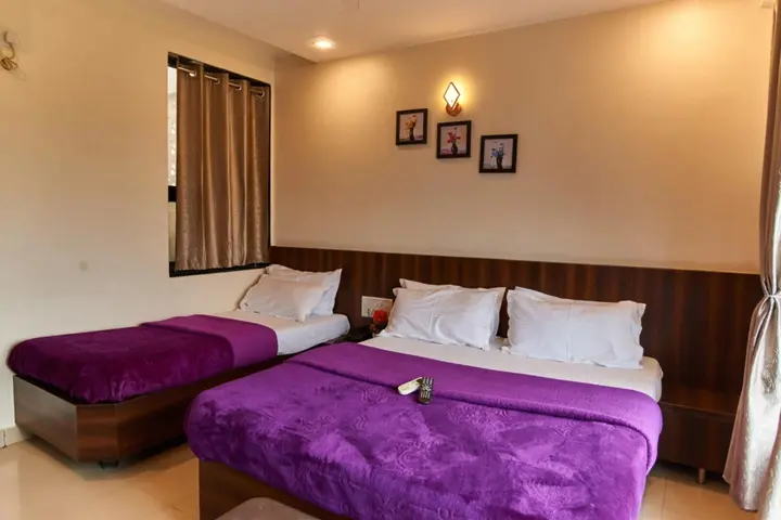 Ширди: Hotel Disha Palace