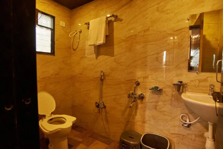 Ширди: Hotel Disha Palace