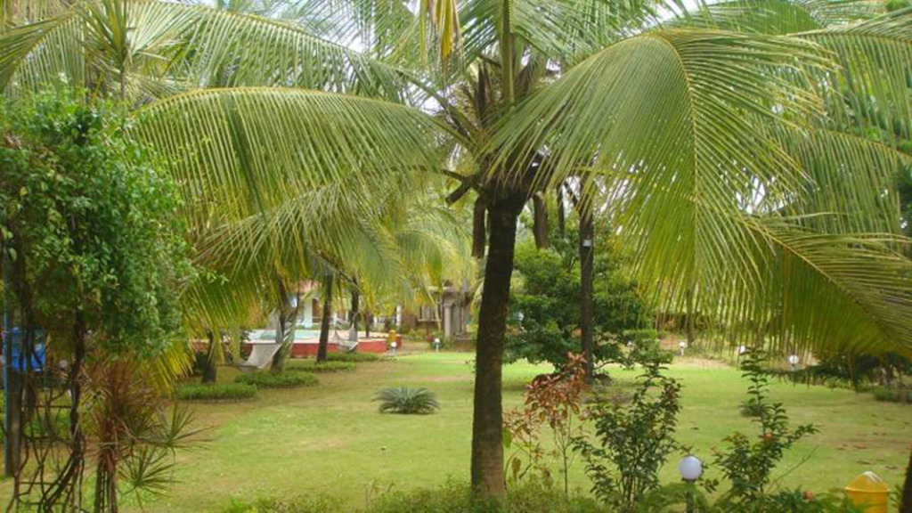 Leisure Vacations Tarang Resorts — фото 4
